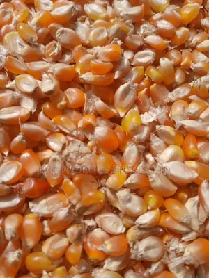 Newpopcorn