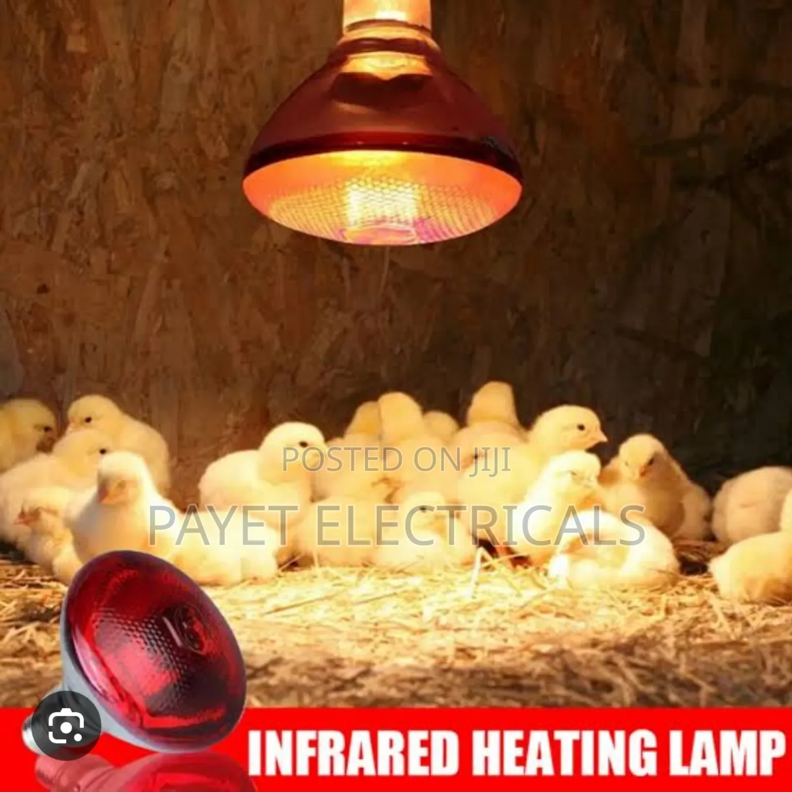 Inflared Heating Bulb for 250 Watts