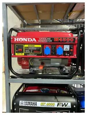 Eg4500 Petrol Japan Tech Generator