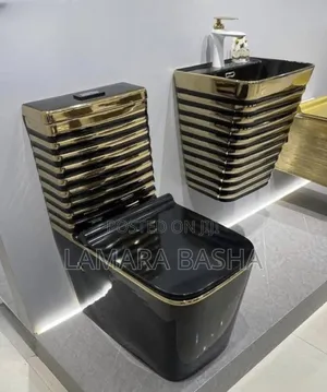 Toilet Seat Plus Handwash Basin