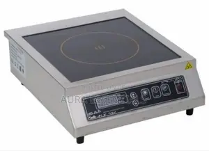 Commercial Induction Cooker