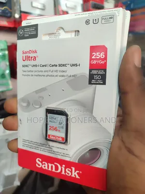 Sd Card 256 Gb for All Cameras