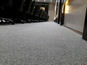 Adorable Grey Woolen Carpet