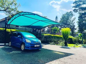 High Quality Car Shade