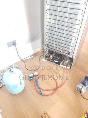 Professional Technician for Fridge Repair 29