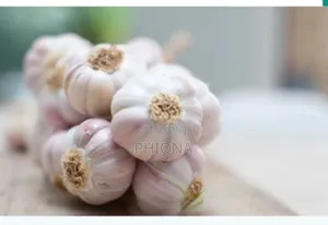 Organic Garlic
