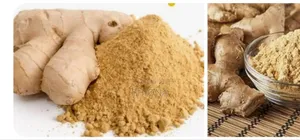 Ginger and Powder