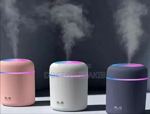 Unique 400ml H20 Electric Humidifier