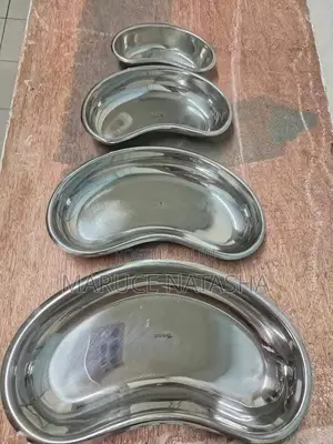 A Set of Stainless Steel Kidney Dishes