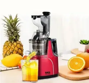 Raf Cold Press Multifunction Juicer