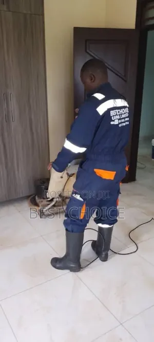 Deep Cleaning Services for a Deeper Shine