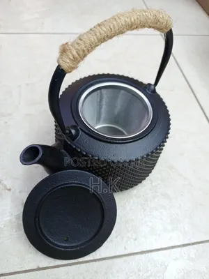 Nambu Tekki Cast Iron Teapot 600ml