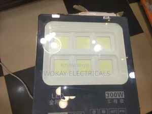 300w Floodlight