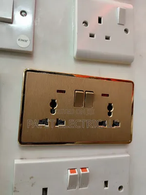 Goldish Multi Double Socket
