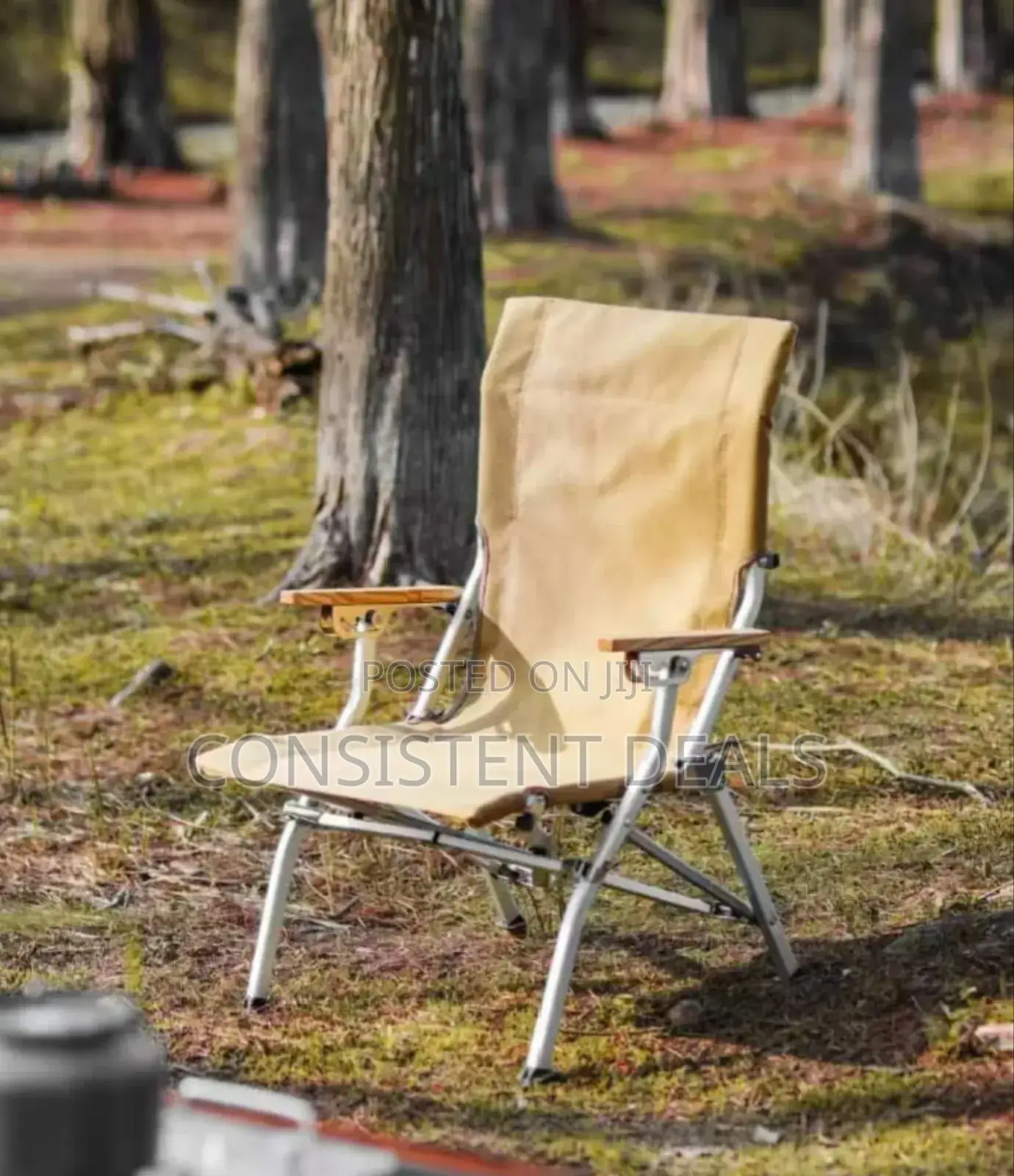 Foldable Camping Chair