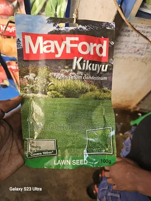 Kikuyu Grass/ Pasture Seeds 100g