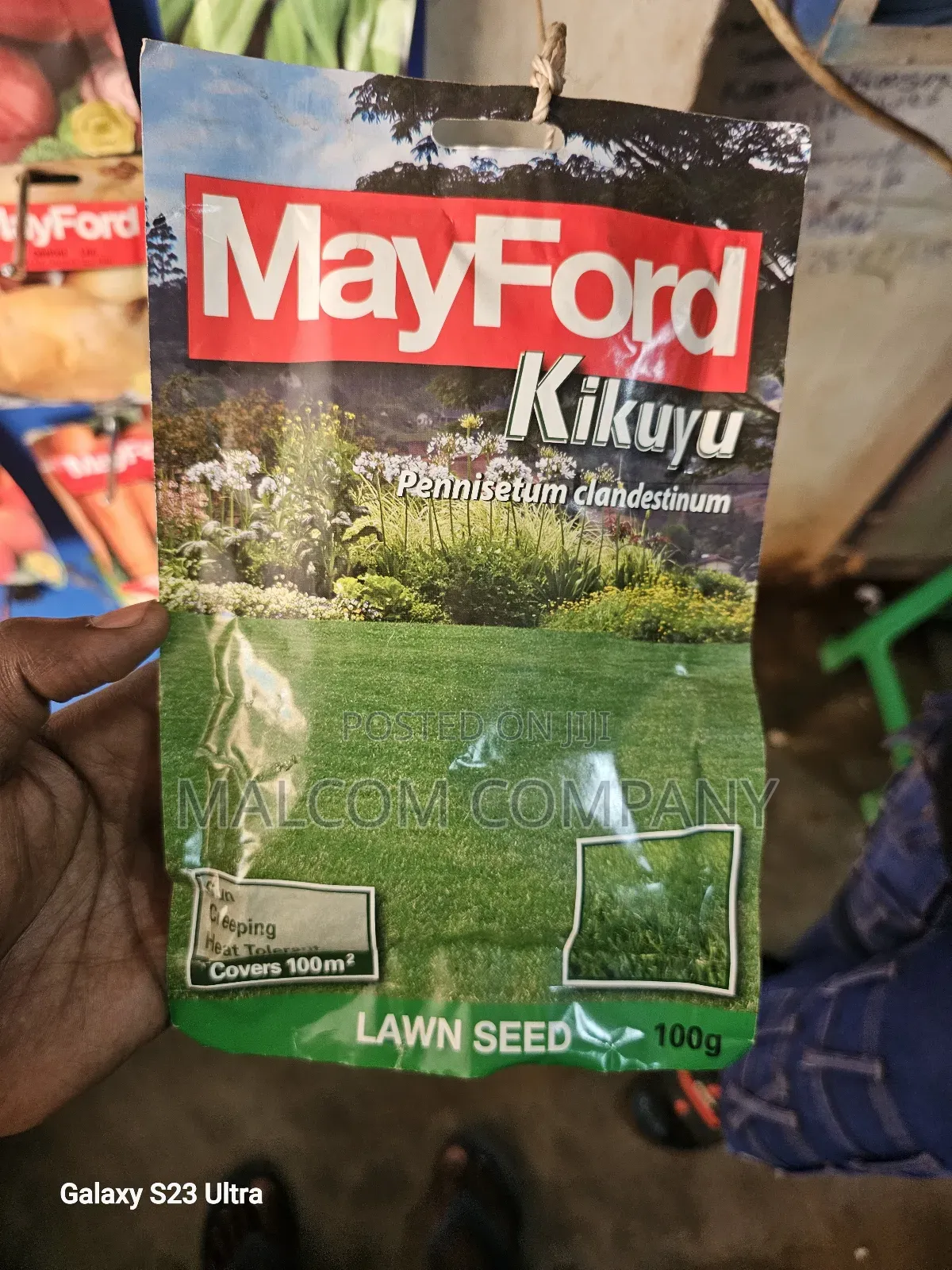 Kikuyu Grass/ Pasture Seeds 100g