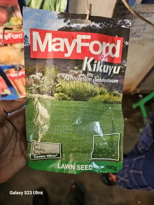 Kikuyu Grass/ Pasture Seeds 100g