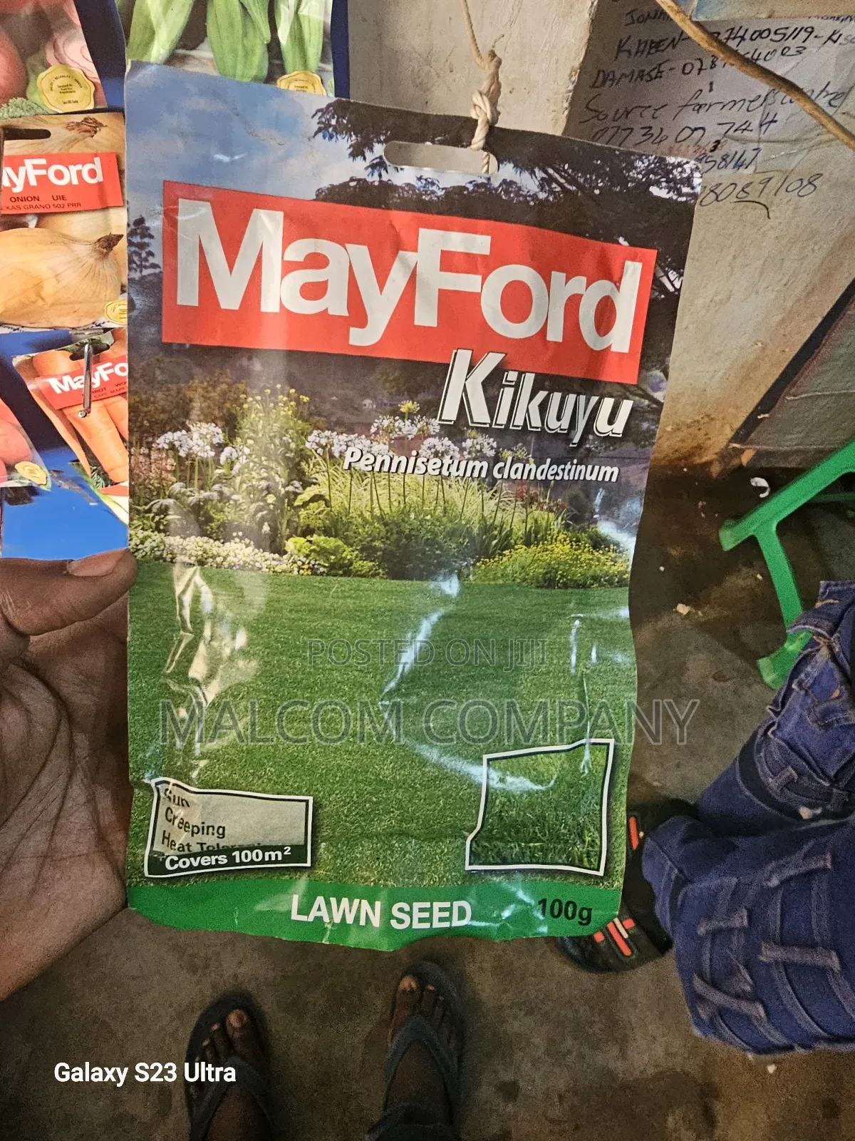 Kikuyu Grass/ Pasture Seeds 100g