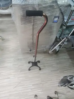 Walking Stock