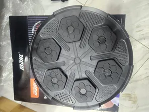 Boxing Machine or Wall Mounted Music and Boxing Machine
