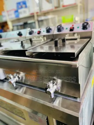 Commercial Deep Fryer/ 20liters
