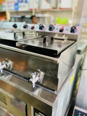 Hard Body / Commercial/ Electric Deep Fryer 20liters