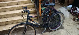 Bicycle Japan 26 A