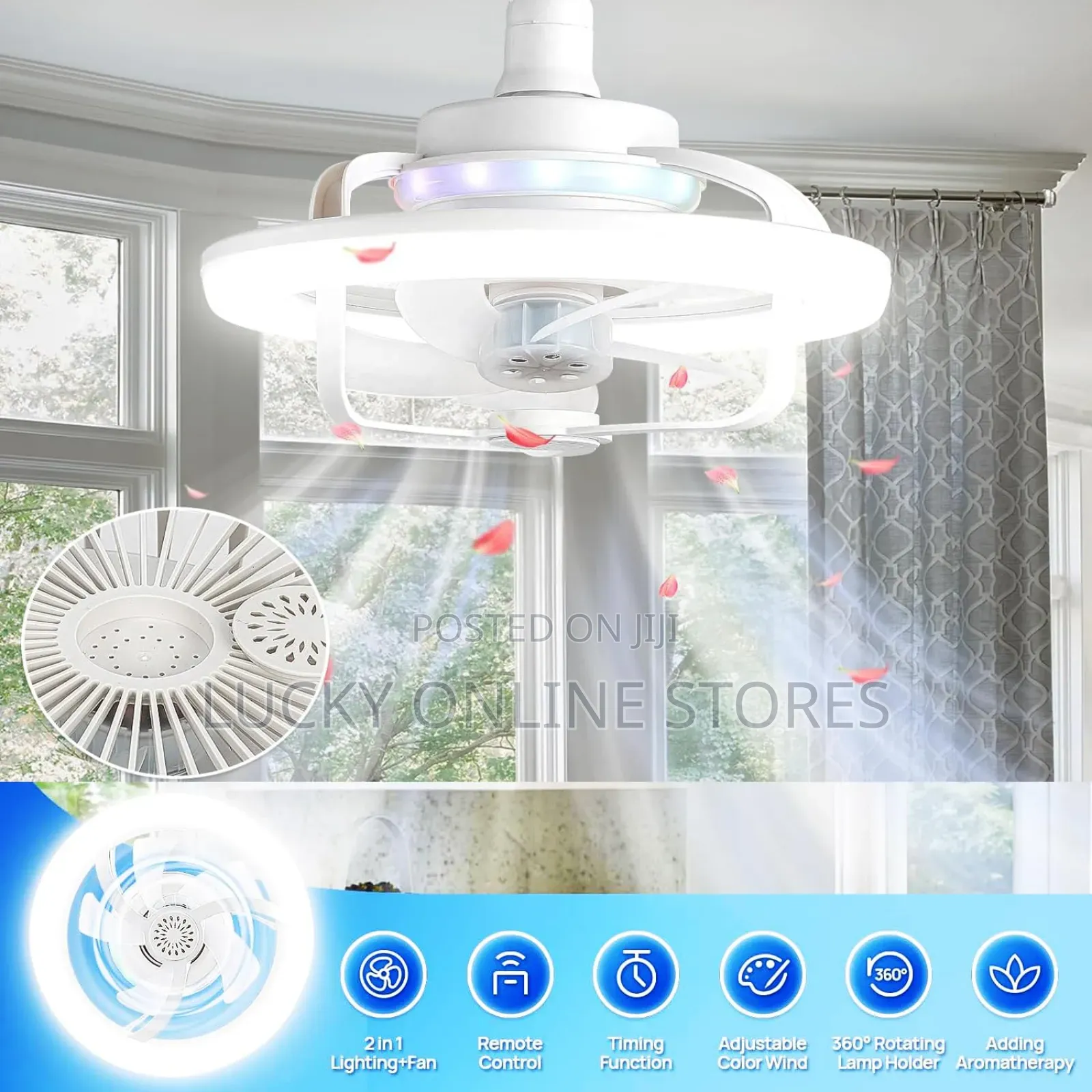 Ceiling Fun Light Bulb