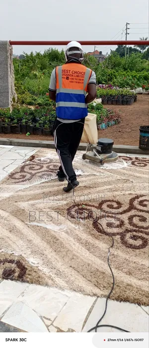 The Carpet Cleaning Specialists