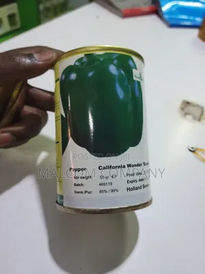 Green Pepper Seeds 50g