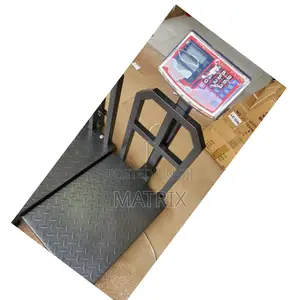 Platform Electric Weighing Scale 150kg, 300kg and 500kg