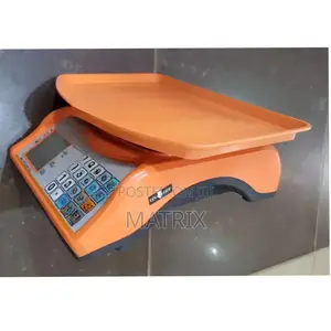 Parcel Weighing Electronic Digital