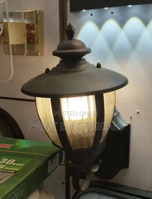 Vip Classic Security Outdoor Wall Light