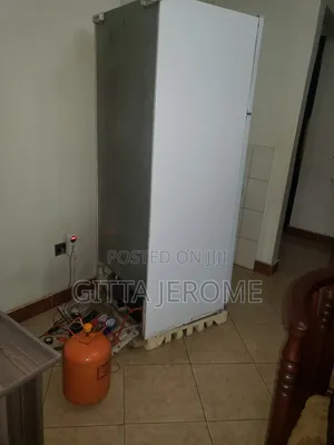 Professional Fridge Repairs 42