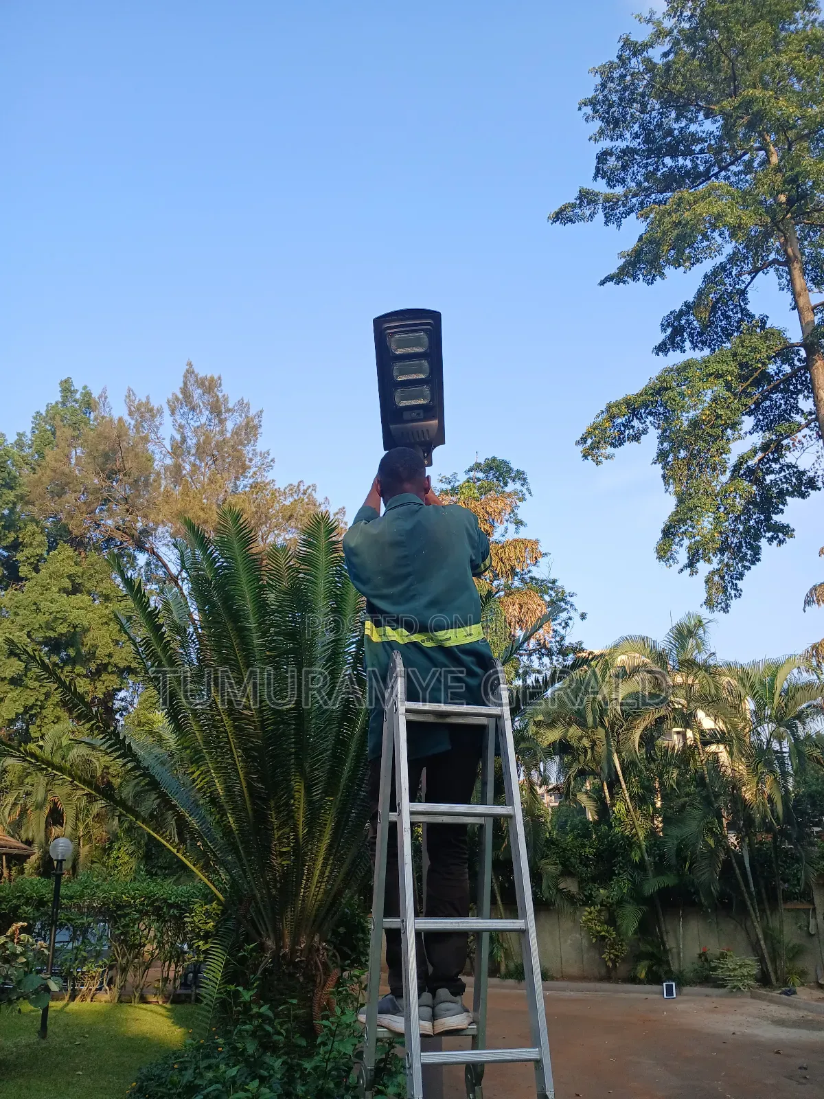Solar Lights