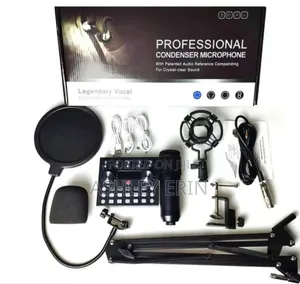 Rofessional Condenser Microphone V10