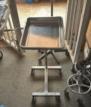 Mayo Trolley Stainless