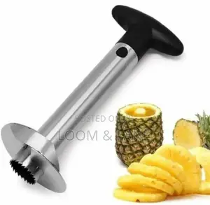 Stainless Steel Pineapple Core Remover