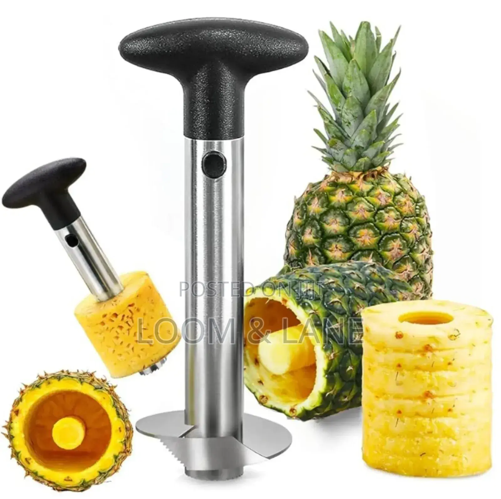 Stainless Steel Pineapple Core Remover