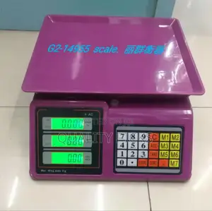 Electronic Price Computing Weighing Scale