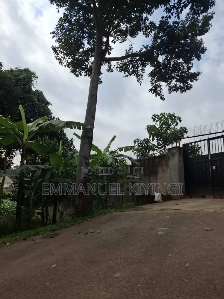 Prime 100 by 100 Plot in Namugongo