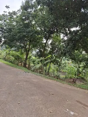 Prime 100 by 100 Plot in Namugongo