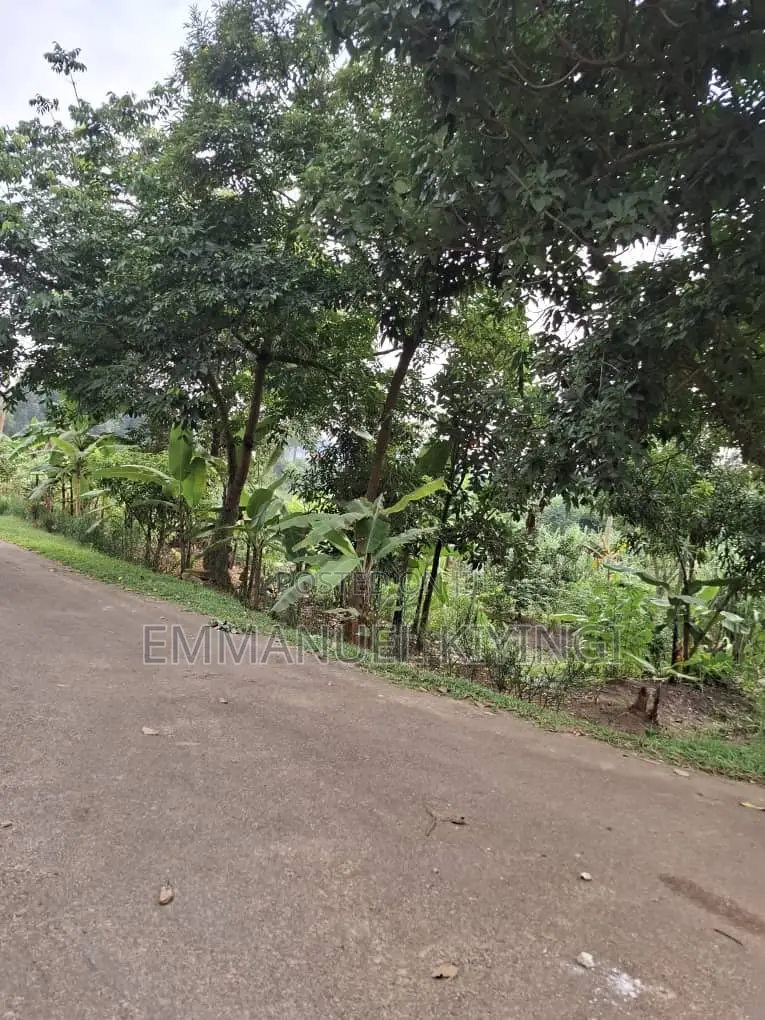 Prime 100 by 100 Plot in Namugongo