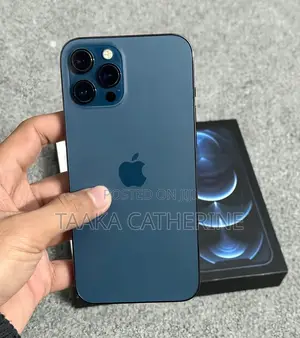 New Apple iPhone 12 Pro Max 256 GB Blue