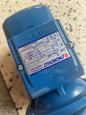 Surface Electric Pump 0.75kw 36m