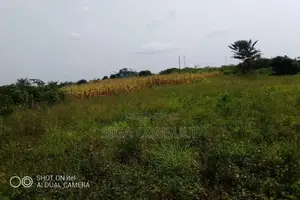 64 Acres of Land Available for Rent in Kitwe, Kayunga
