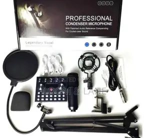 Professional Condenser Microphone V10