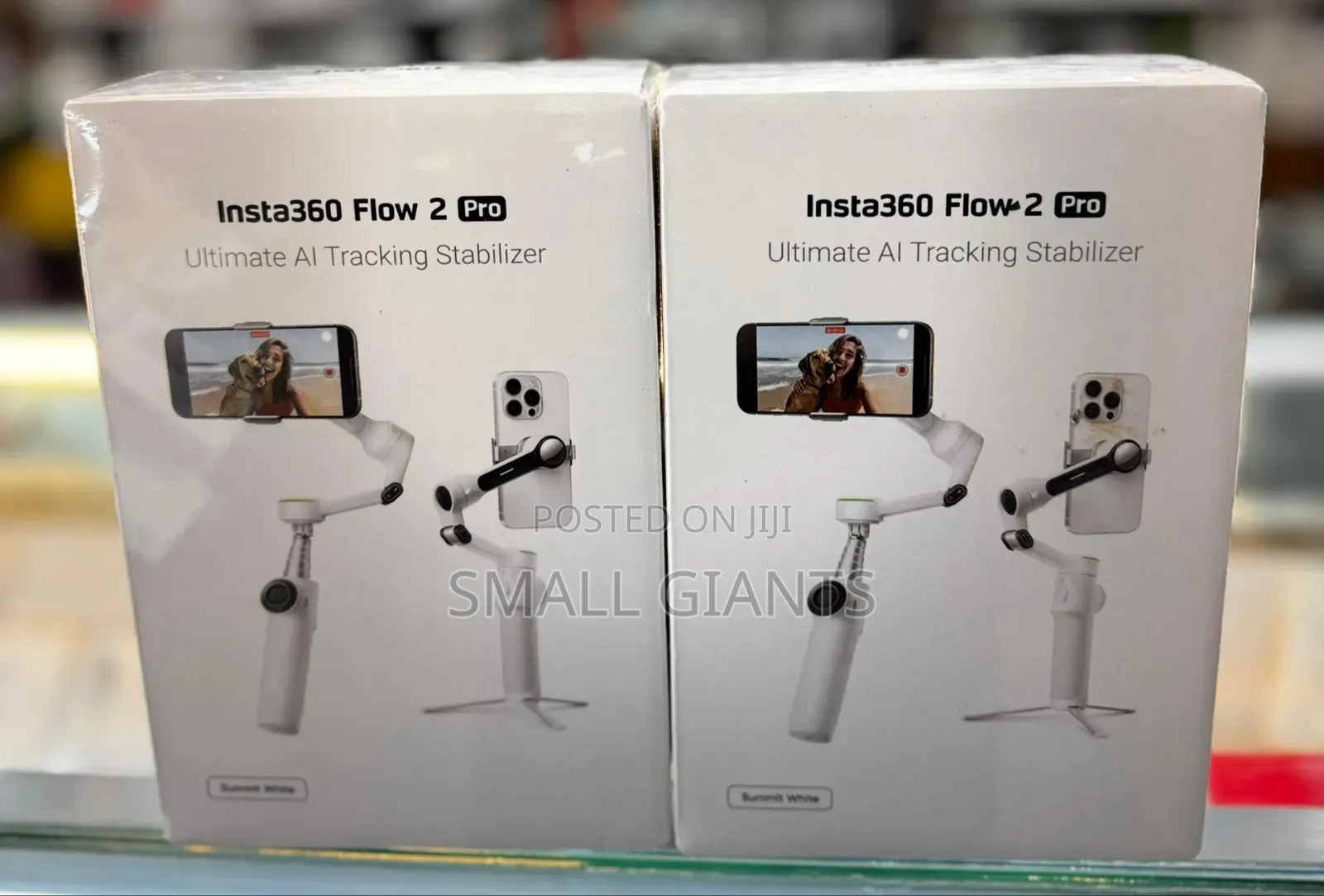 Insta360 Flow 2 Pro