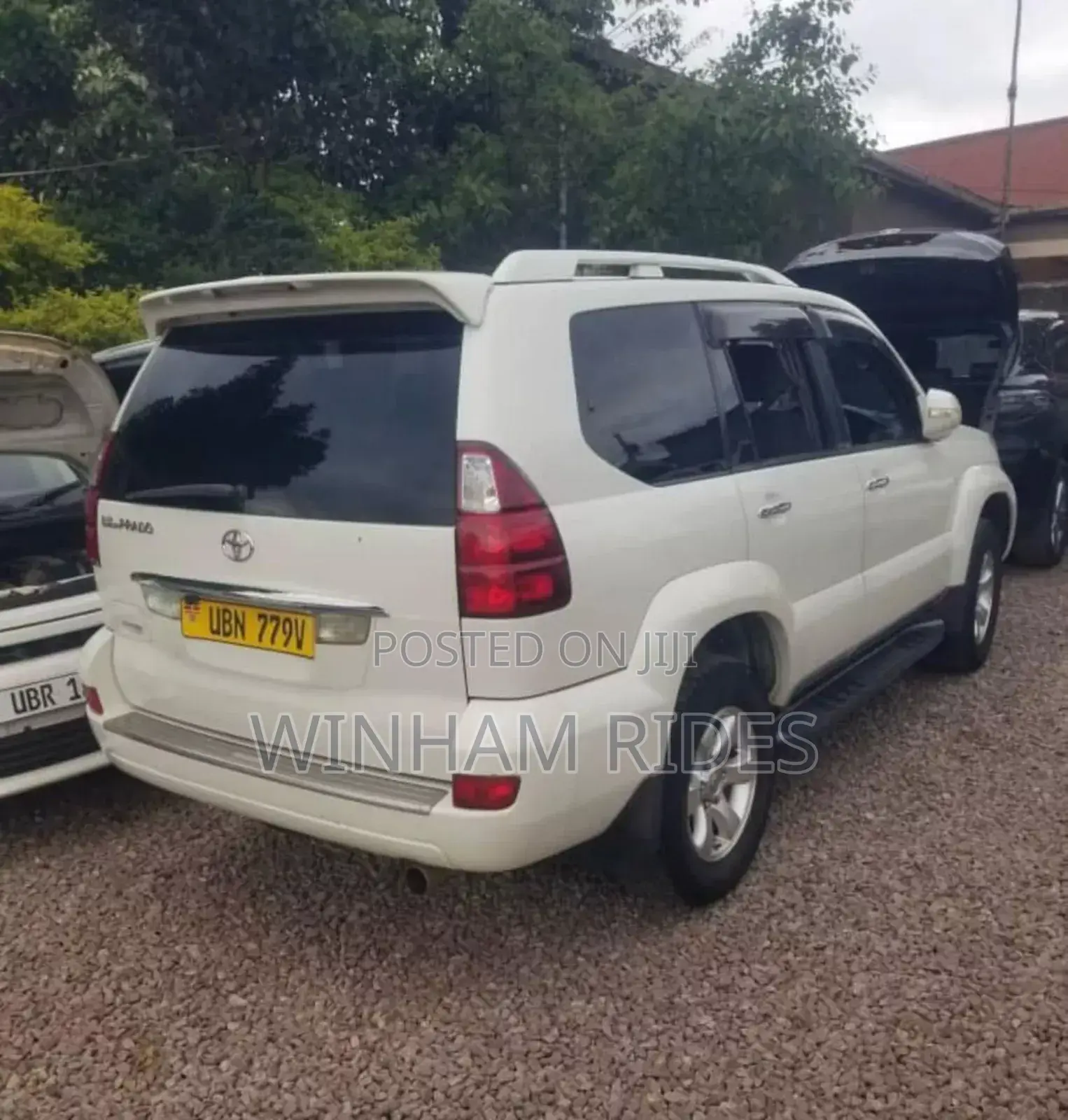 Self Drive Car Hire/Rental